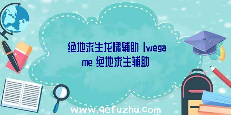 「绝地求生龙啸辅助」|wegame